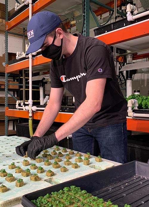 Finn working with small plants