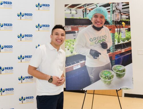 Celebrating Five Years of Impact at Greens Do Good
